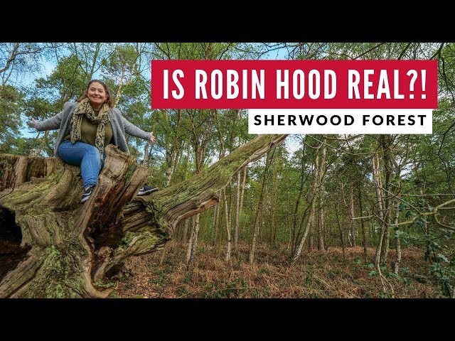 Sherwood Forest Is Real | Robin Hood Nottingham | England Road Trip Travel Vlog 25