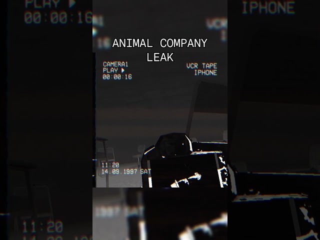 The Backrooms #animalcompany