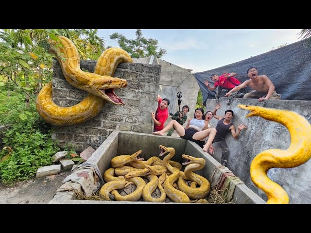 Brave Soldier Uses High-Tech Snake Detector to Locate Anaconda Nest