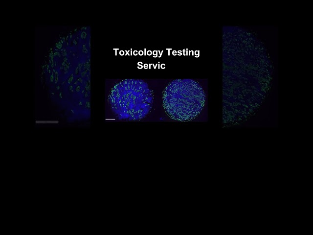 Innovating in Vitro Science with MATTEK, now a Part of Sartorius