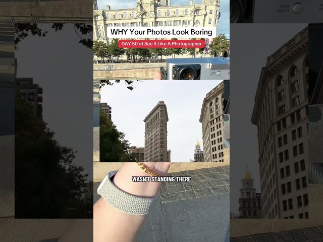 DAY 50 of See It Like A Photographer