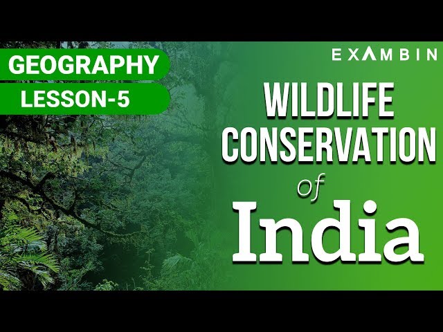 Wildlife conservation in india National Parks , Wildlife Sanctuary