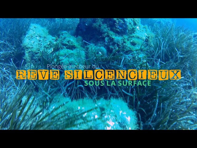 [SIMPLEMENT.] Plongée au cœur du rêve silencieux sous la surface
