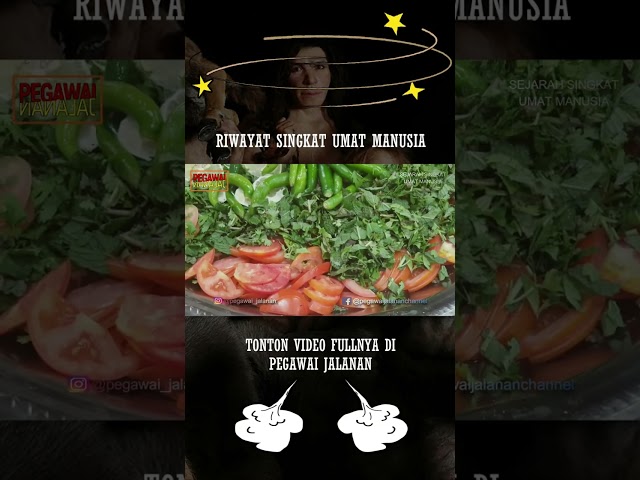 MANUSIA SAMA DENGAN HEWAN