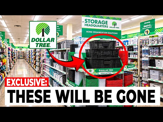 The 12 Best Dollar Tree Finds Right Now (Plus 6 Items to LEAVE on the Shelf)