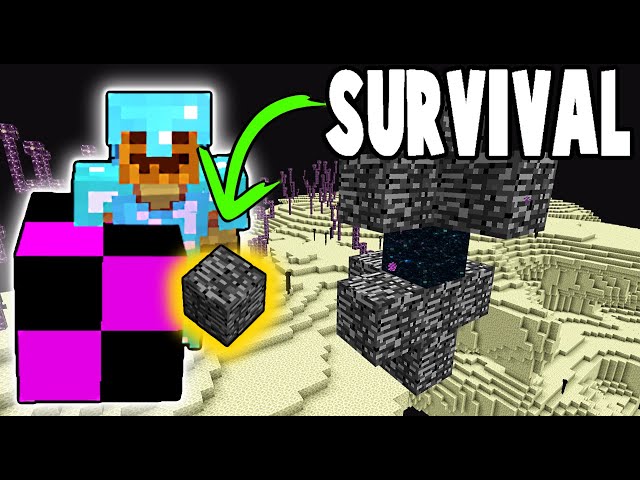 Bedrock Block Item Farm in SURVIVAL! | ProtoTech SMP #129