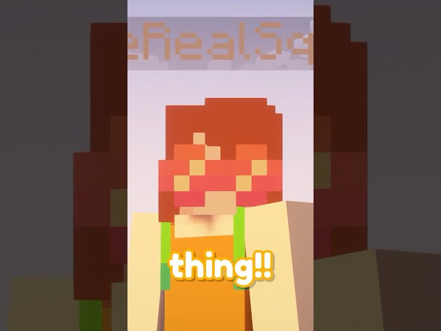 $9 Illegal Chinese Minecraft