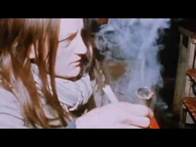 When Organized Crime Destroyed A Cannabis Anarchist Utopia