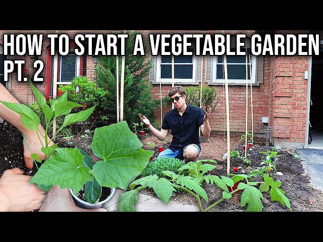 How to Start a Vegetable Garden Pt. 2 | Planting Out