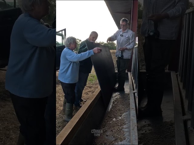 Grumpy doesn't say nothing!🤣 #shorts #funny #viral #fyp #farming