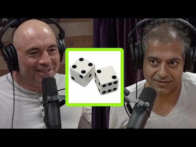 What's the Meaning of Life? | Joe Rogan and Naval Ravikant