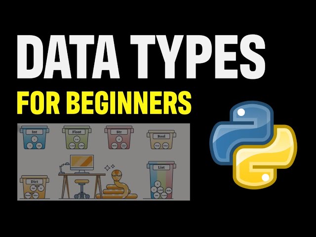 Python Data Types. Beginner's Guide to Understanding Why They Exist