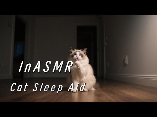 WARNING: This Cat ASMR Will INSTANTLY Destroy Your Insomnia... (You Can't Ignore It)