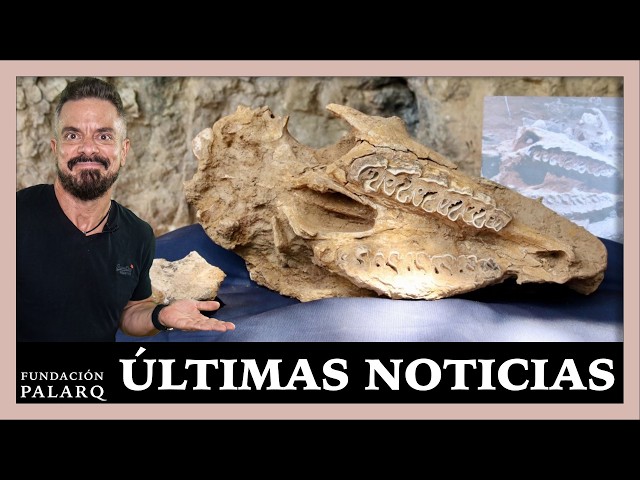 🦏 Two Whole RHINOS in a 200,000-YEAR-OLD CAVE 😱 | Archaeology News