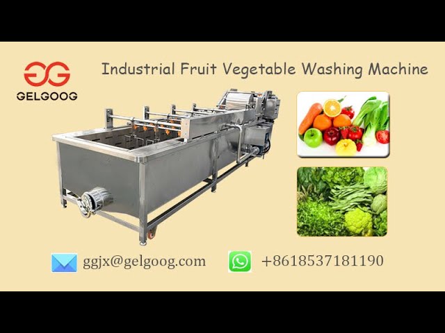 GELGOOG® Fruit Vegetable Washing Machine Commercial Vegetable Cleaning