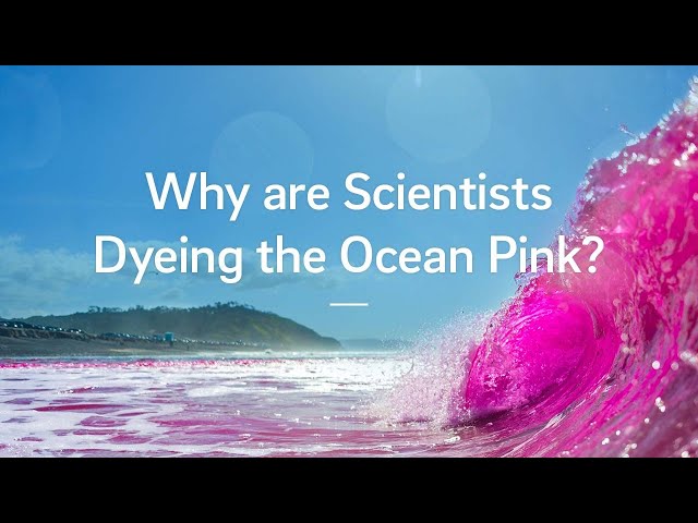 Why are scientists dyeing the ocean pink?