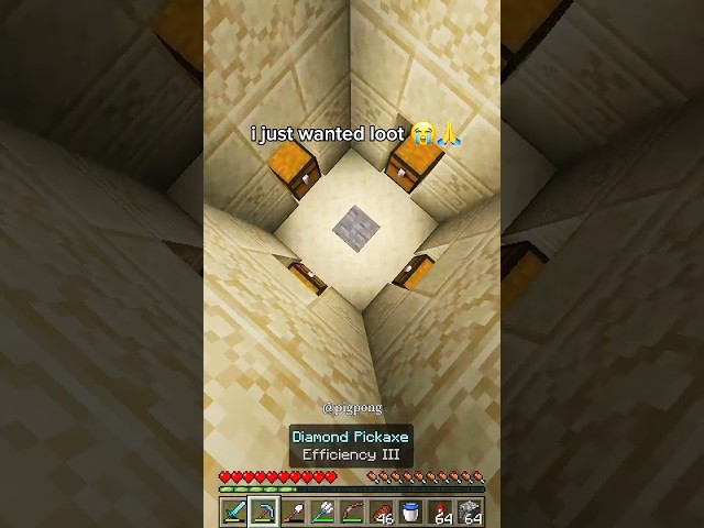 Minecraft Desert Temple Moment