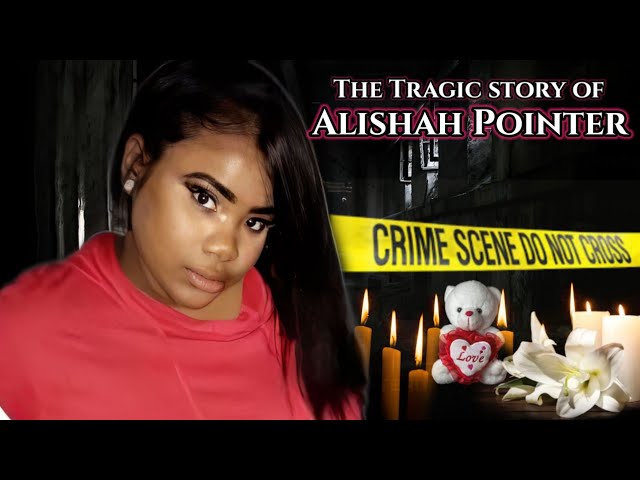 The Evidence in the Basement. The Alishah Pointer case