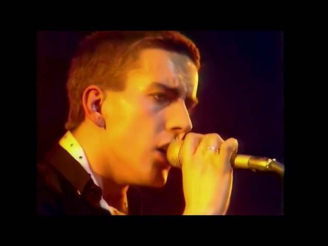 THE SPECIALS: Live in Concert (UK Television 1979)