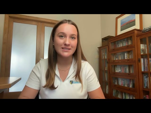 Virtual Chief Information Security Officer vCISO