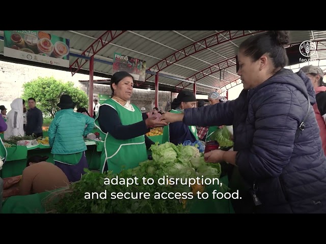 The State of Agricultural Commodity Markets (SOCO) 2026 - Trade, Resilience and Food Security