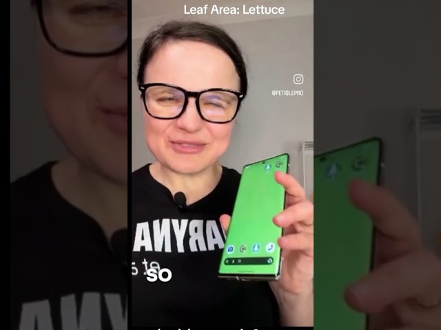Lettuce leaf area with app