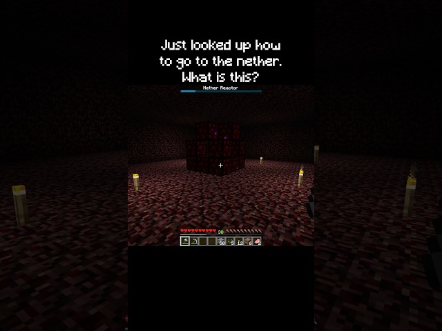 Looked up how to go to the Nether. What is this? | #minecraft #shorts