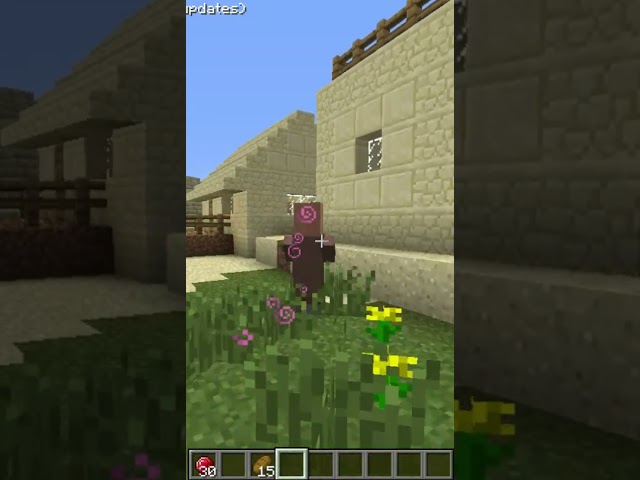 Minecraft The Old Rubies (12w21a) [If Rubies were in the game] #shorts