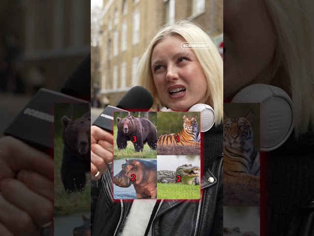 Climb tree to get away from bear 🐻 ? not that smart #wildlife #natureshorts #streetinterview
