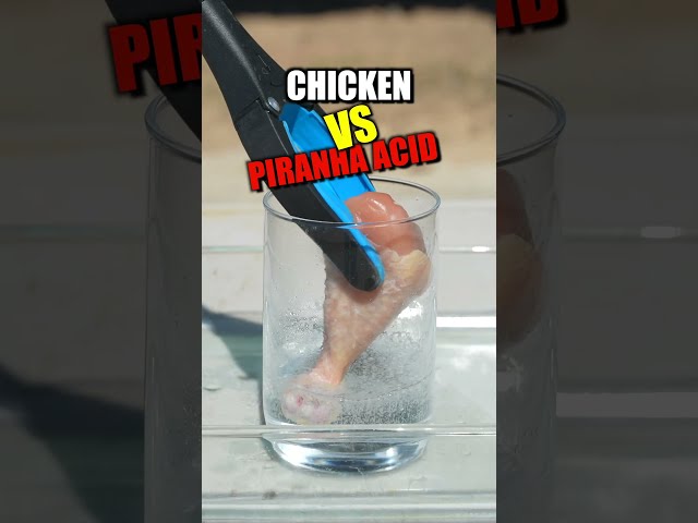 Chicken Leg vs Piranha Acid!?