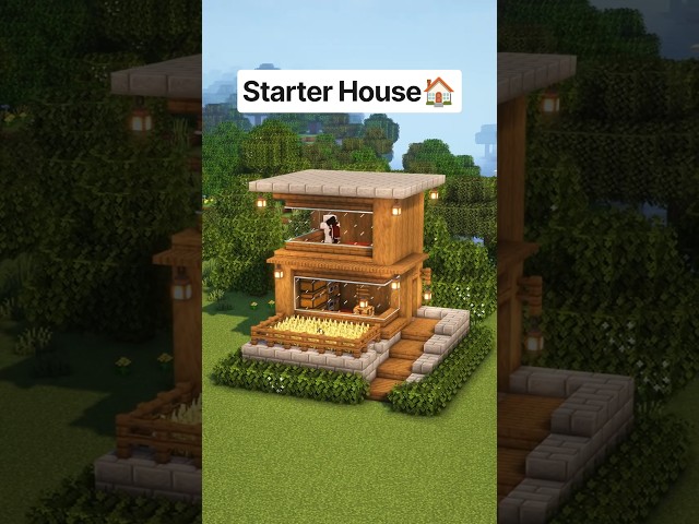 Minecraft Starter House🏠 #minecraft