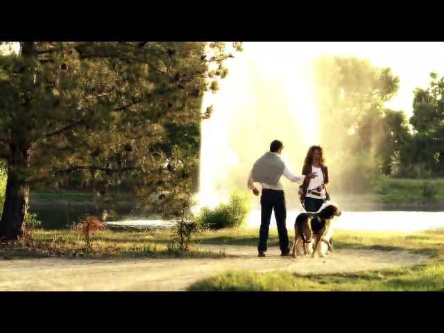 The Dynamics of Existence: The Scientology Handbook Online Course