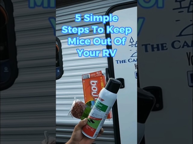 5 BEST Tips To Keep MICE Out Of Your RV #camping #rvlife #tips #shorts #viral