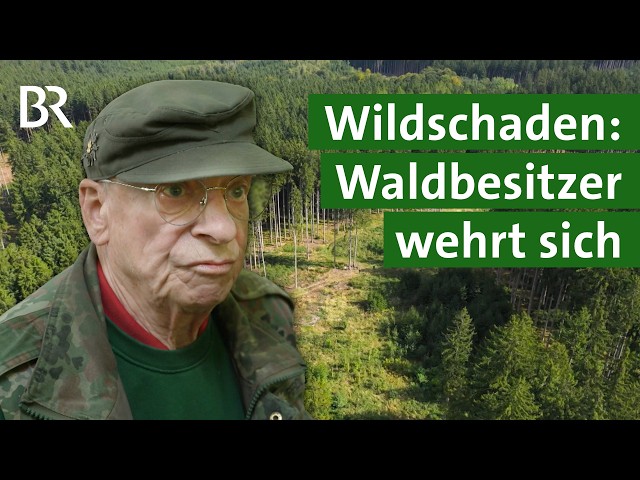 Jagdgesetz vs. Realität: Warum Wildschaden kaum gemeldet wird | Unser Land | BR