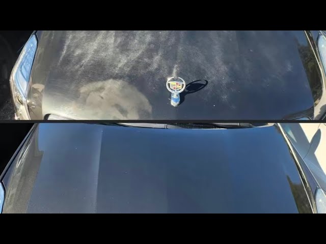 Everything you need to know about Shiny Car Stuff (Almost)