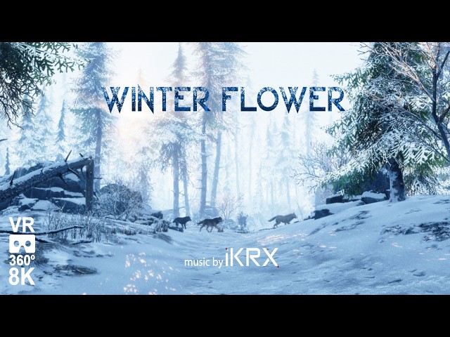 Winter Flower VR 360 8K