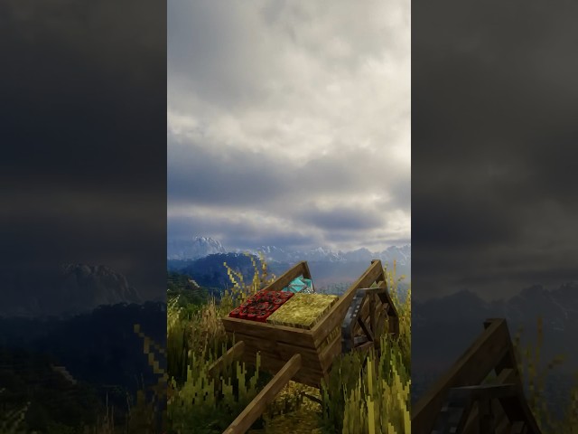 The Beauty of Minecraft