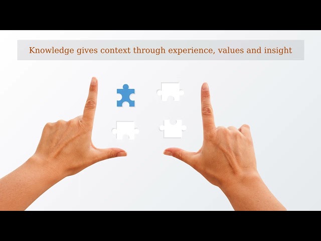 Data, information, knowledge & wisdom