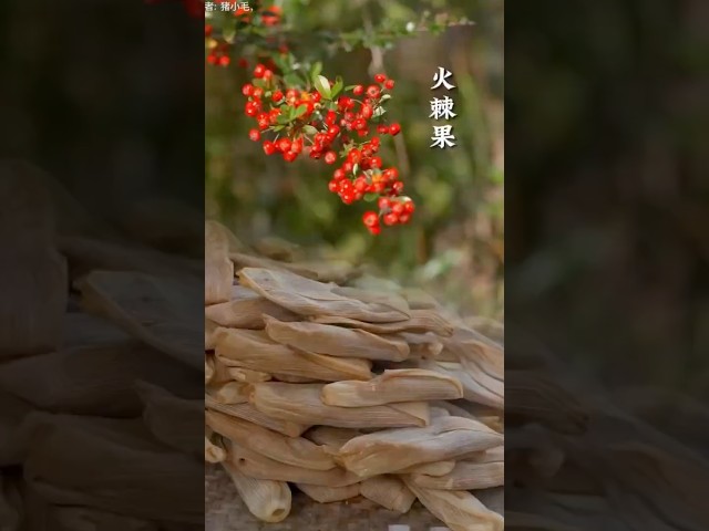 Chinese Red Fruit Harvesting & Delicious Snack Made with Peanuts and Corn Husks