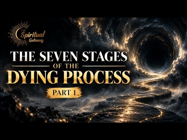 The Seven Stages of the Dying Process : Are We Creating The Afterlife? | Part 1