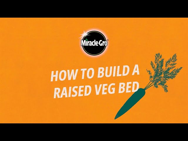 How to Build a Raised Bed Step-by-Step (UK Guide) | Miracle-Gro UK