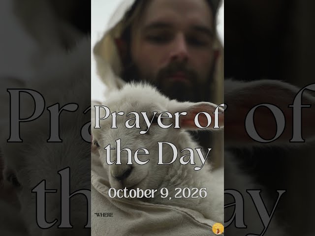 Prayer of the Day | October 9, 2026 #prayer #dailyprayer #jesuslovesyou