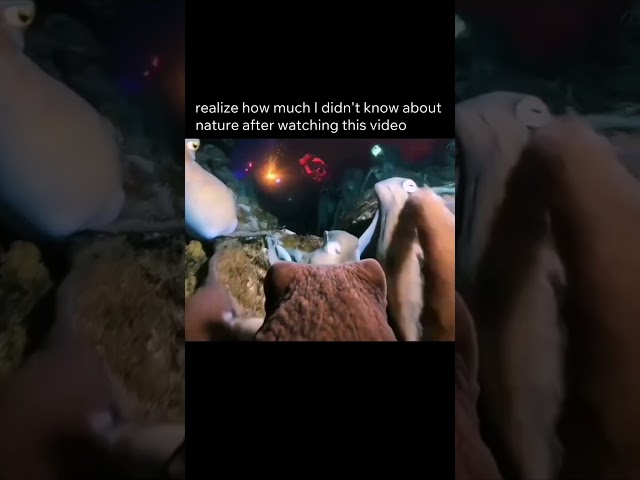 POV: I've found an underwater rave😂​​​​​#hardtechno #techno #technoremix #ravememes #memes