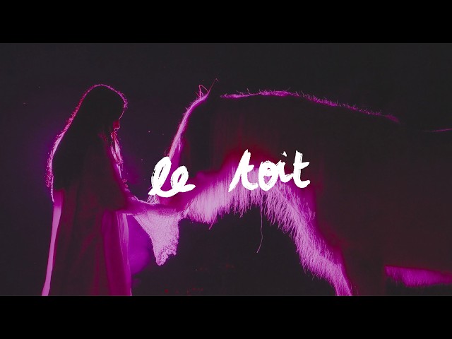 ZINÉE - le toit