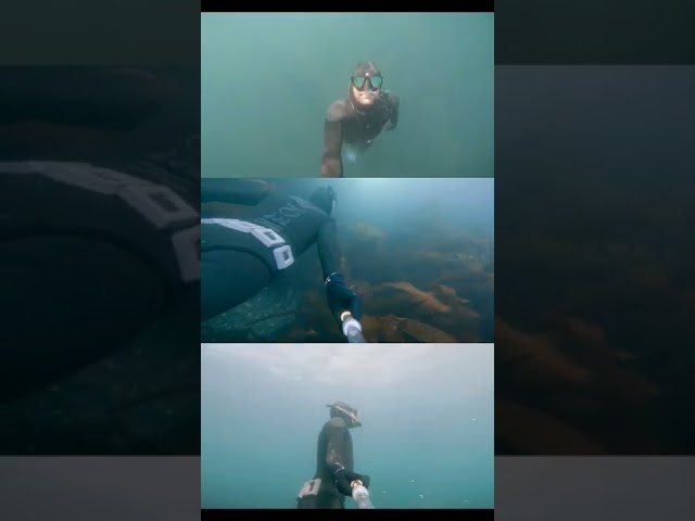 three times fourth first - test dives in the new Fourth Element RF2 suit