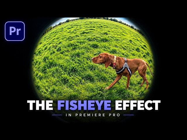 Easy Fisheye Lens Effect in Premiere Pro Tutorial | (Step-by-Step)