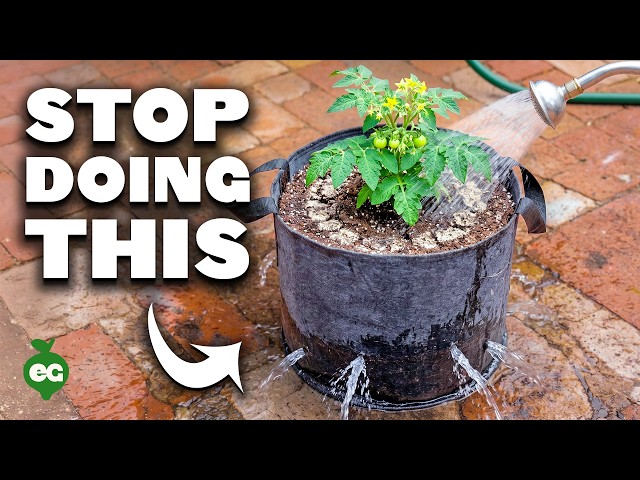These Grow Bag Mistakes Will Cost You Your Harvest