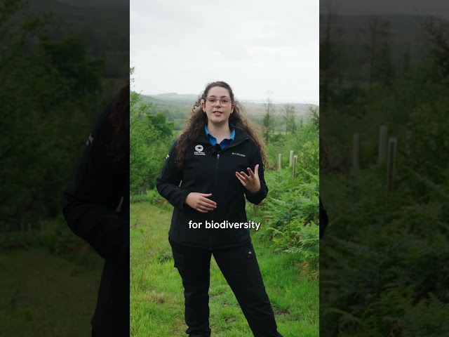 How OS Helps Manage Woodlands | Lake District National Park Authority