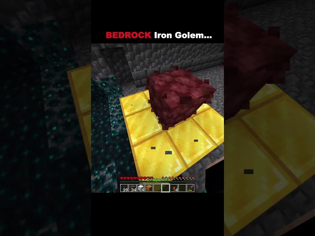 Java VS Bedrock Golem 💀#usa
