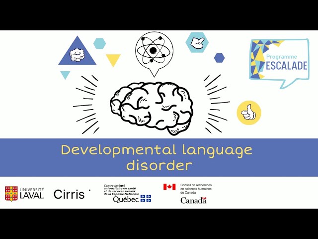 Developmental Language Disorder (DLD) explained to teenagers